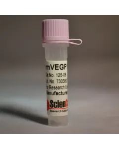 Recombinant Murine VEGF120