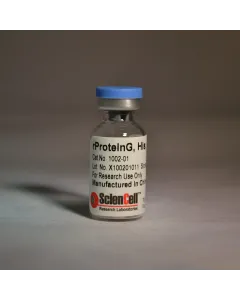 Recombinant Protein G