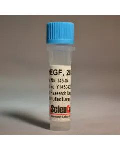 Recombinant Rat Epidermal Growth Factor 