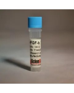 Recombinant Rat Fibroblast Growth Factor-basic