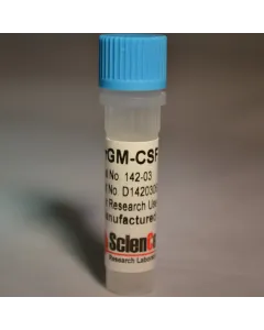 Recombinant Rat Granulocyte Macrophage Colony Stimulating Factor