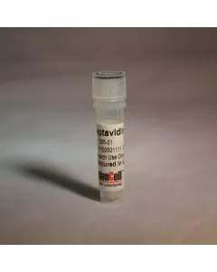 Recombinant Streptavidin