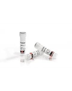 Recombinant yeast SUMO Protease 500 units