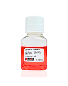 Transfection Max Medium