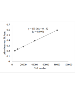 Vitronectin Cell Adhesion Assay