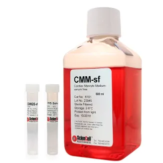 Cardiac Myocyte Medium-serum free