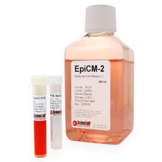 Epithelial Cell Medium-2