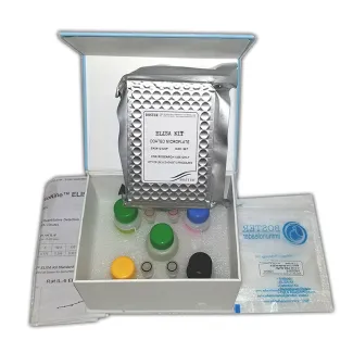 Human IGF-1 ELISA Kit 