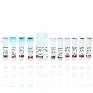 人类癌症启动子甲基化 qPCR 检测试剂盒