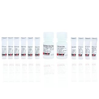 人类APOE基因分型实时荧光定量PCR检测试剂盒