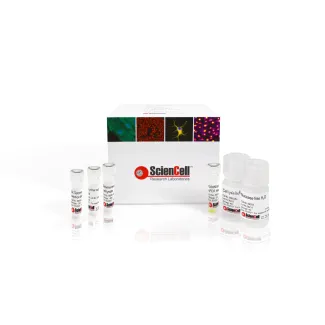 端粒酶活性定量 qPCR 检测试剂盒