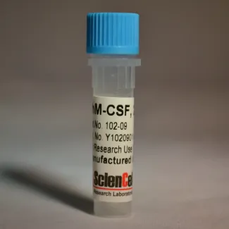 重组人巨噬细胞集落刺激因子