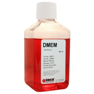 高糖 DMEM 培养基（含 L-谷氨酰胺和丙酮酸钠）