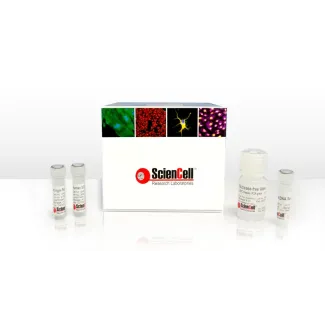 Absolute Human Kringle Repeats Quantification qPCR Assay Kit