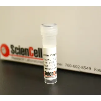 Bovine Plasma Vitronectin