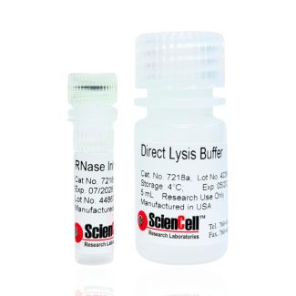 Direct Lysis Buffer for RT-qPCR