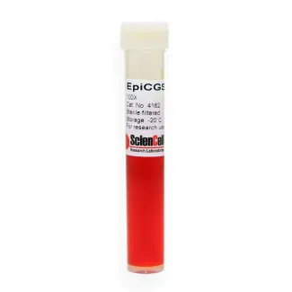 Epithelial Cell Growth Supplement-2