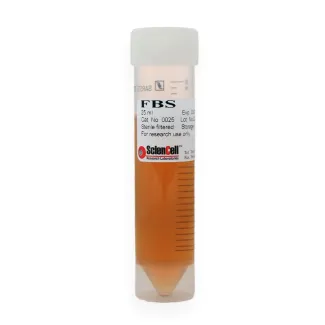 Fetal_Bovine_Serum 25 ml