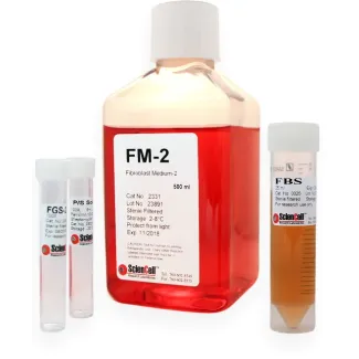 Fibroblast Medium-2