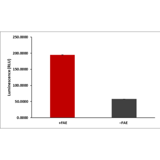 Firefly Assay Enhancer (100X)