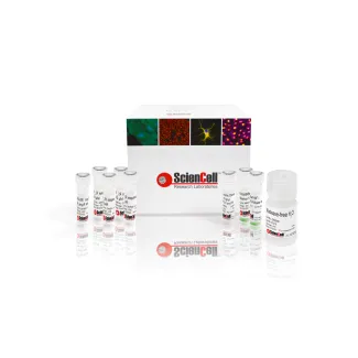 GeneQuery™ HLA-DPB1 PCR+Sanger 基于序列分型（SBT）试剂盒
