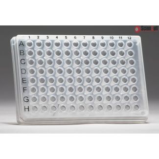 GeneQuery™ Human Synaptic Activity qPCR Array Kit