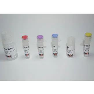 Glucose-6-phosphate Dehydrogenase Assay
