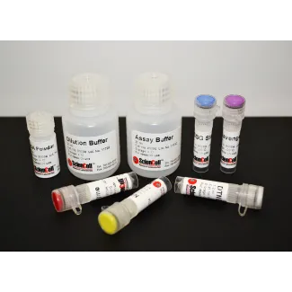 GSH/GSSG Ratio Assay