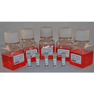 HPSC 神经诱导培养基