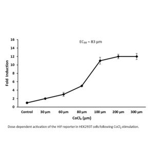 HRE 双重报告载体