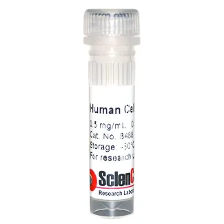 Human Cellular Fibronectin