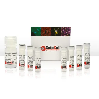 Human Germ Layer Detection qPCR Kit