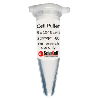Human Hepatic Sinusoidal Endothelial Cell Pellet  