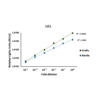 Luciferase Assay Kit