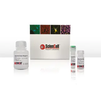 Malachite Green Phosphate Assay