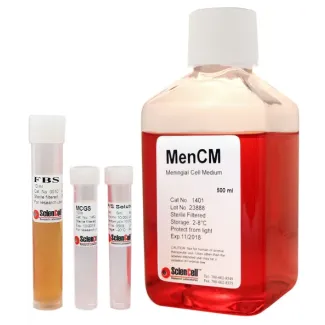 Meningeal Cell Medium