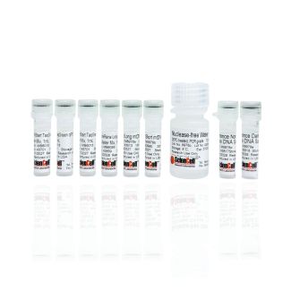 Mouse Mitochondrial DNA Damage Quantification qPCR Assay Kit