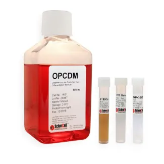 Oligodendrocyte Precursor Cell Differentiation Medium