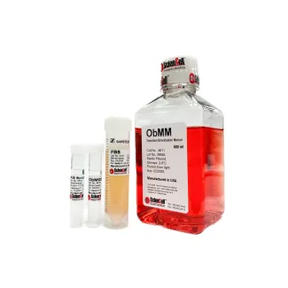 Osteoblast Mineralization Medium