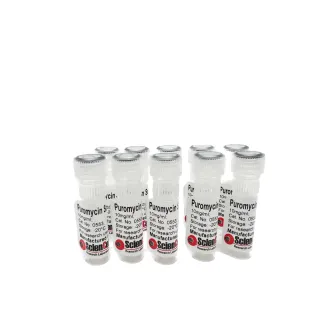 Puromycin (10 mg/ml; 10 x 1 ml)
