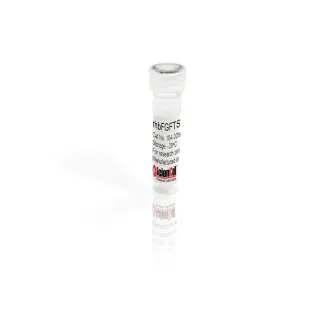 Recombinant Human Basic Fibroblast Growth Factor Thermostable