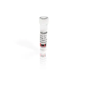 Recombinant Human Endostatin