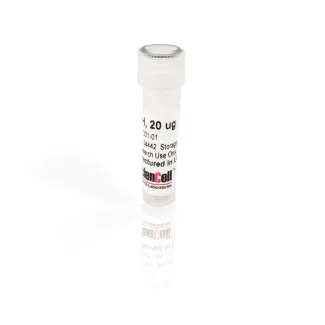 Recombinant Human Growth Hormone (rhGH)