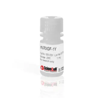Recombinant Human Long R3 Insulin-like Growth Factor-1, Yeast Derived
