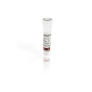 Recombinant Human Platelet-derived Growth Factor-BB