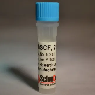 Recombinant Human Stem Cell Factor