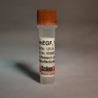 Recombinant Murine EGF