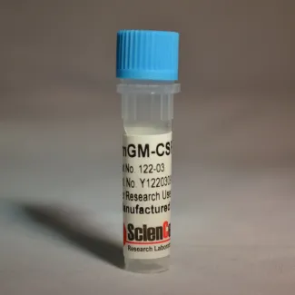Recombinant Murine GM-CSF