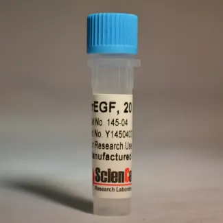 Recombinant Rat Epidermal Growth Factor 