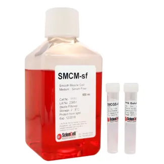 Smooth Muscle Cell Medium-serum free
